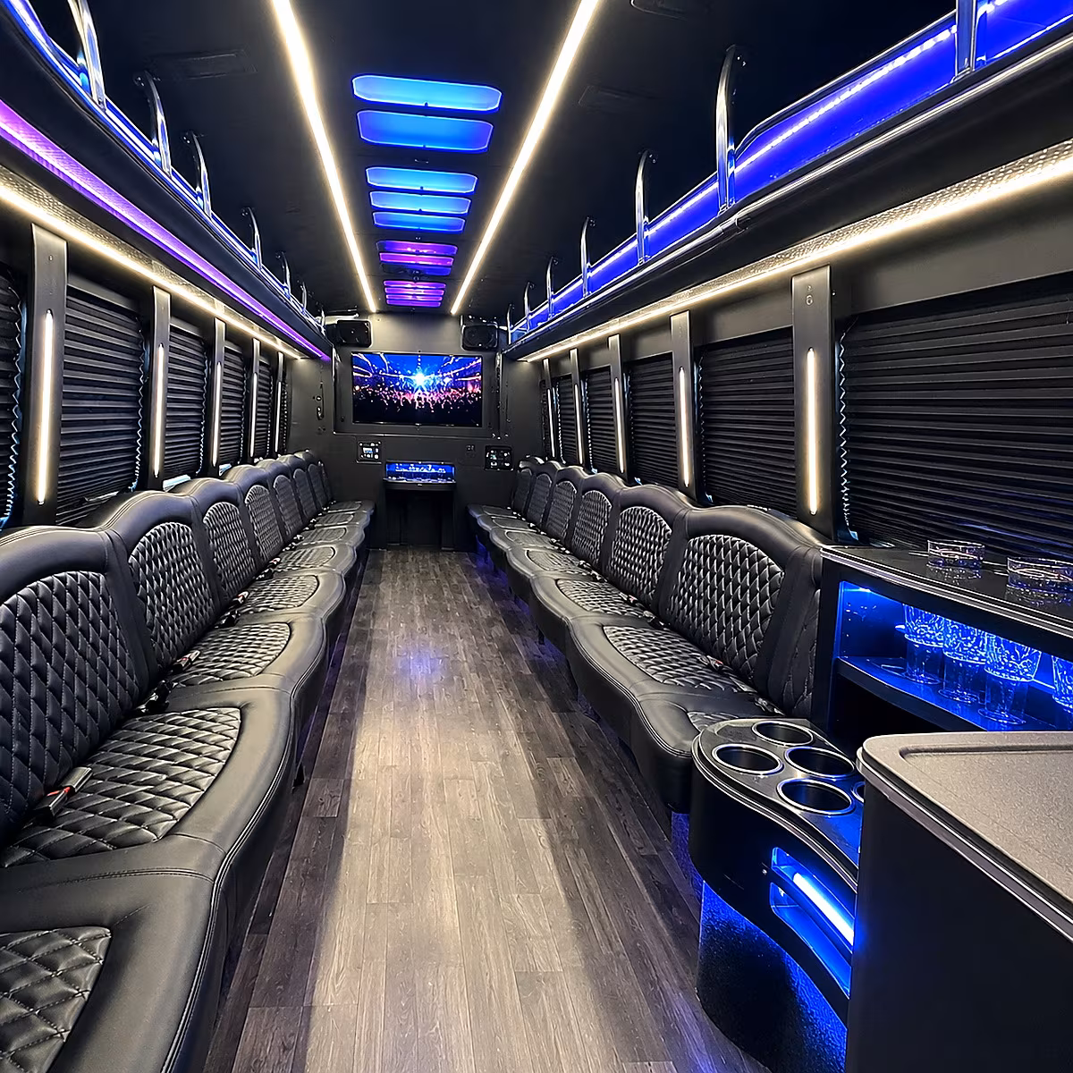 birthday party bus rental