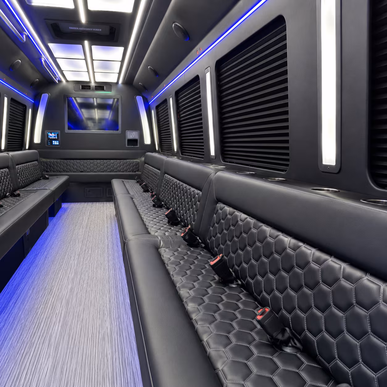 night out on town party bus rental