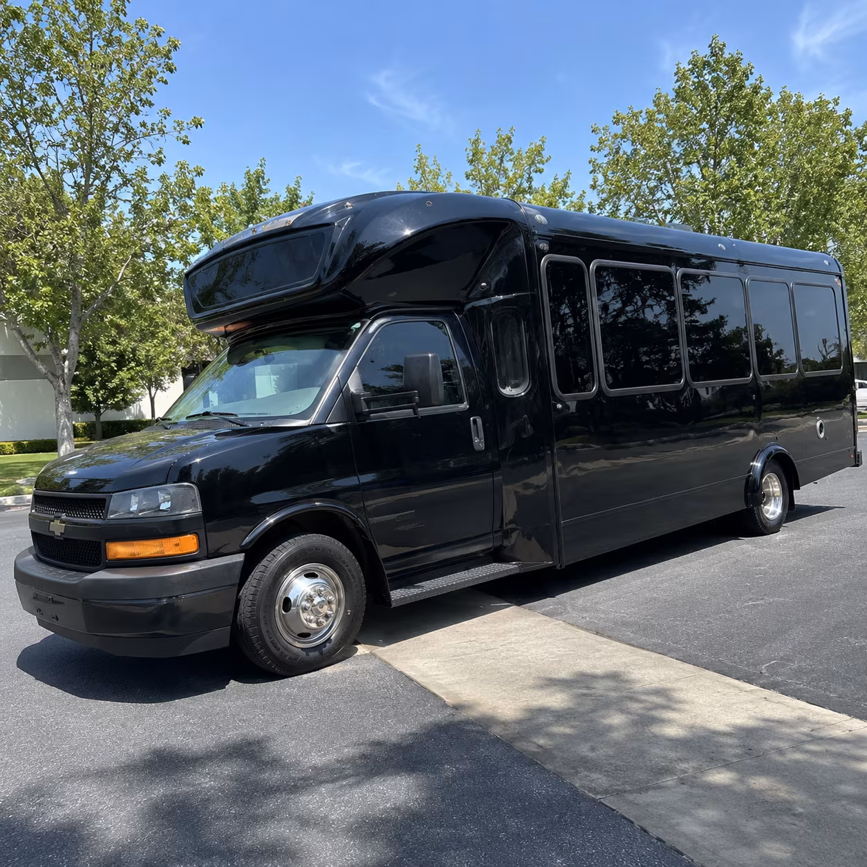 old bridge 15 passenger party bus