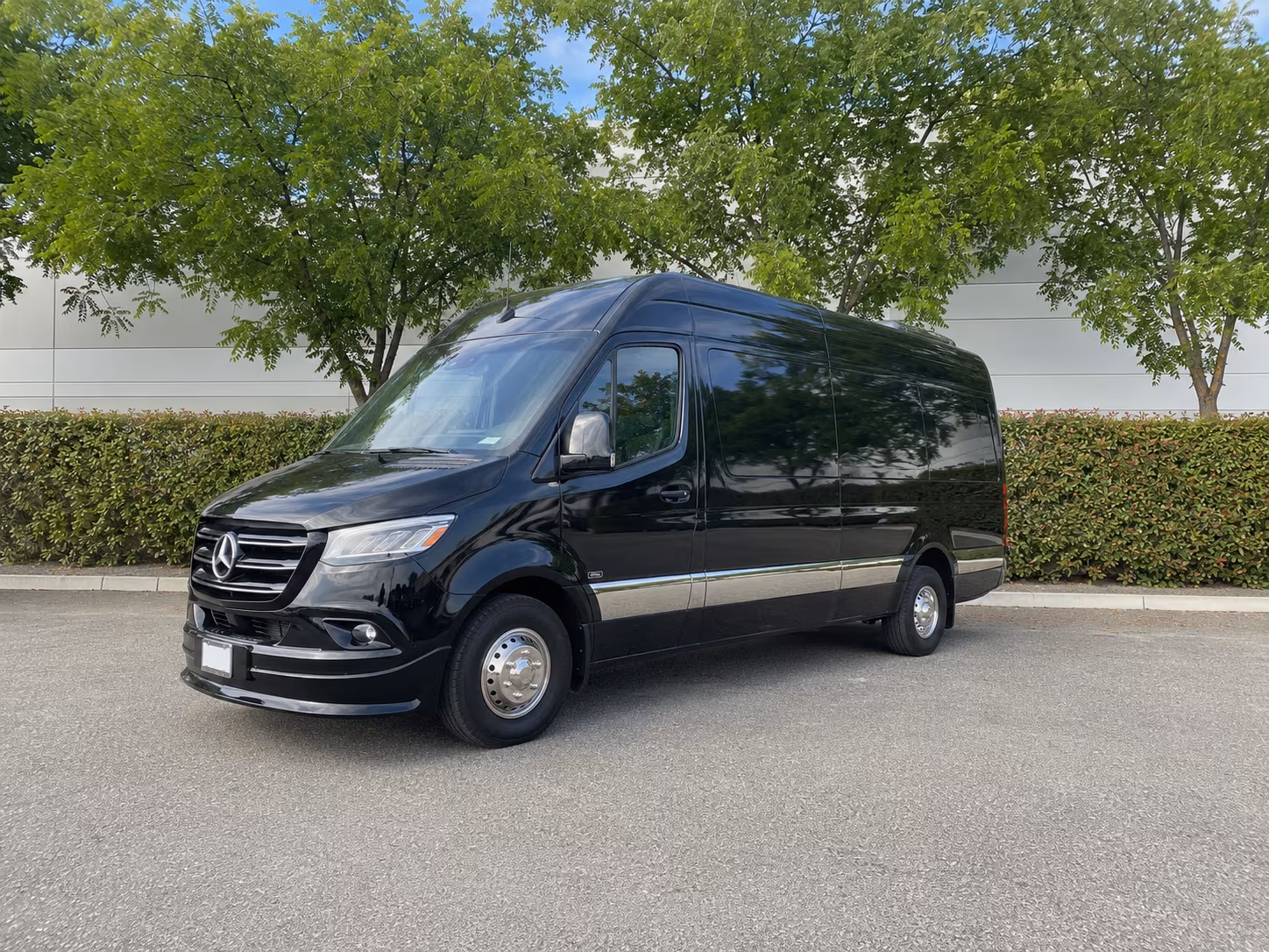 sprinter vans and minibuses for small old bridge business teams